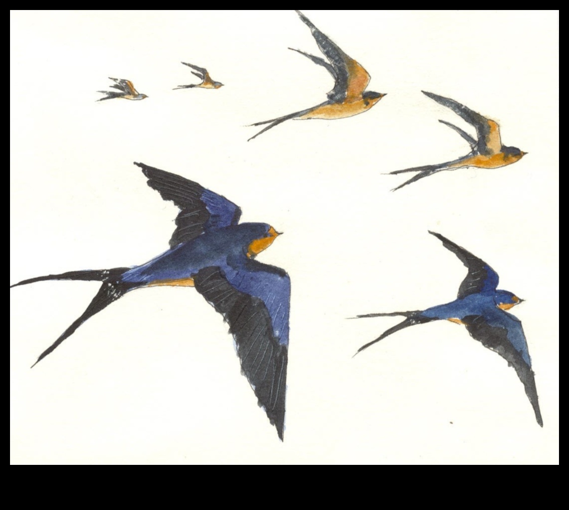 Birds in Flight Continued: Aerial Ballets of Graceful Wings
