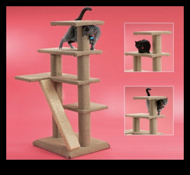 Κατασκευή Cat Condo: Κατασκευές αναρρίχησης για γάτες DIY