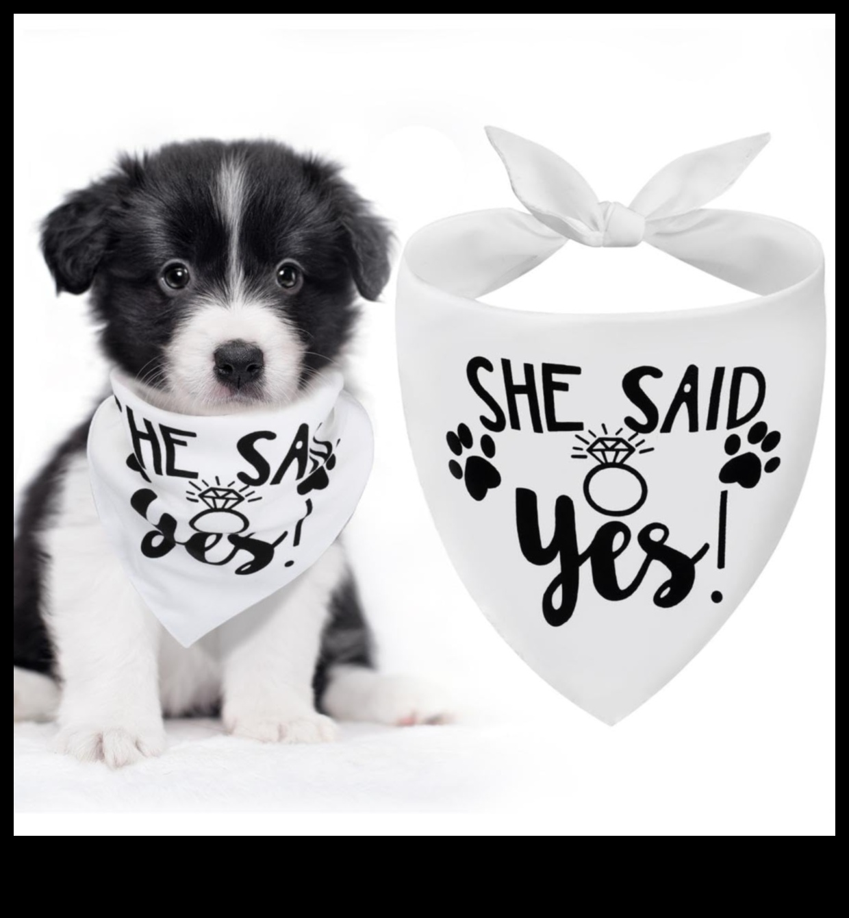 Doggy Decor Dazzle: Αναβαθμίζοντας το στυλ του σκύλου σας με τα πιο πρόσφατα αξεσουάρ