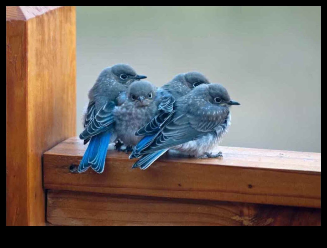 Σχολείο πτήσεων με φτερωτά: Πώς τα πουλιά μαθαίνουν να πετούν