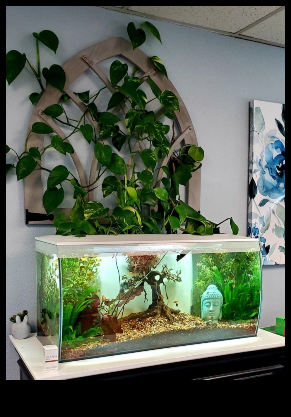 Fish Tank Zen Συνέχεια: Ενσωμάτωση φυτών για φυσική αίσθηση
