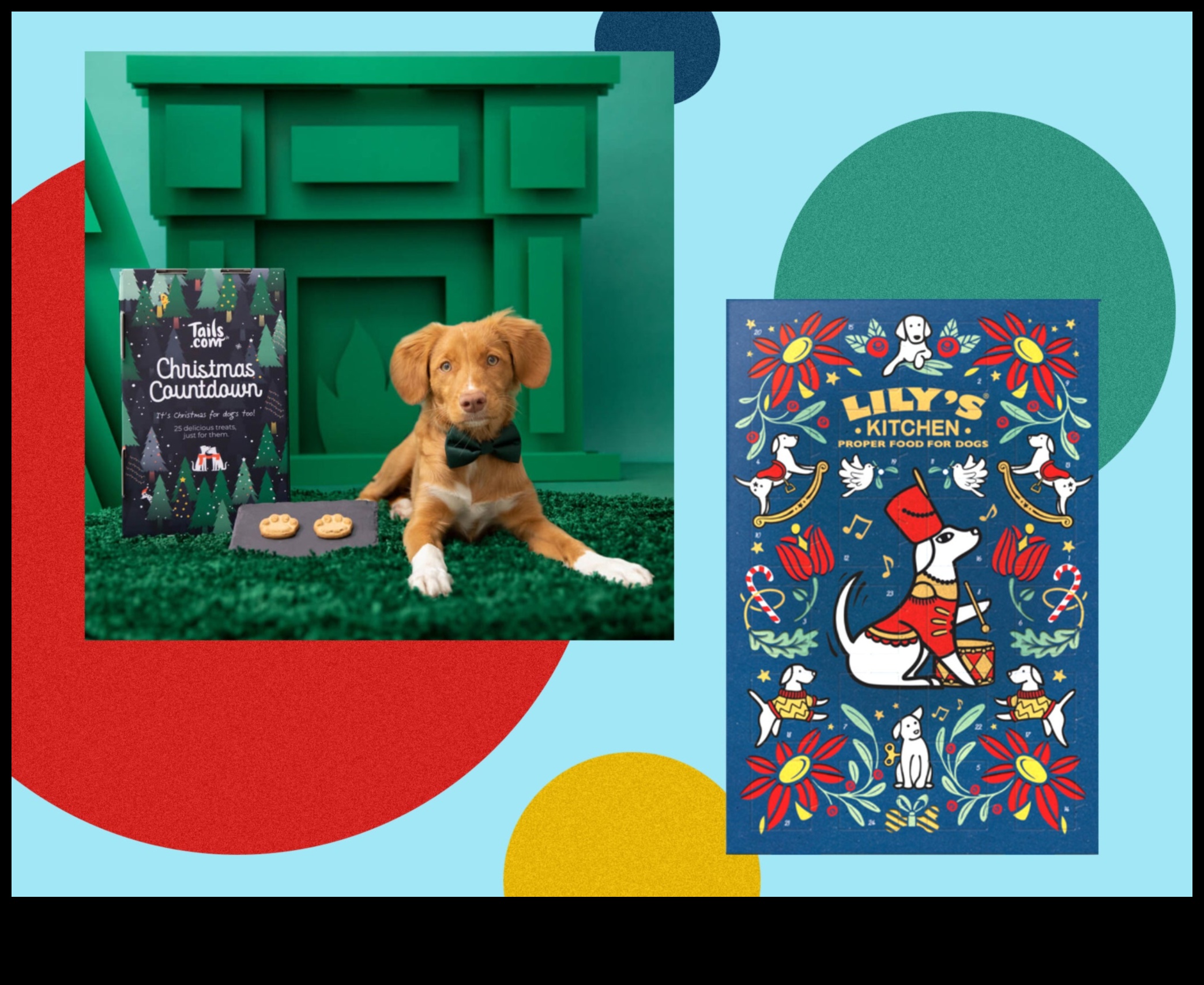 Ημερολόγιο για σκύλους Συνέχεια: Γιορτάζουμε τα σκυλιά κάθε μήνα