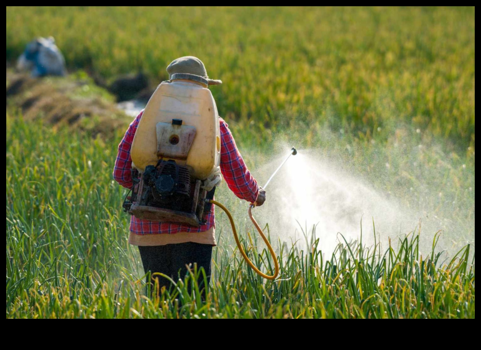 Eco-Friendly Escapes: The Green Revolution in Hybrid Travel