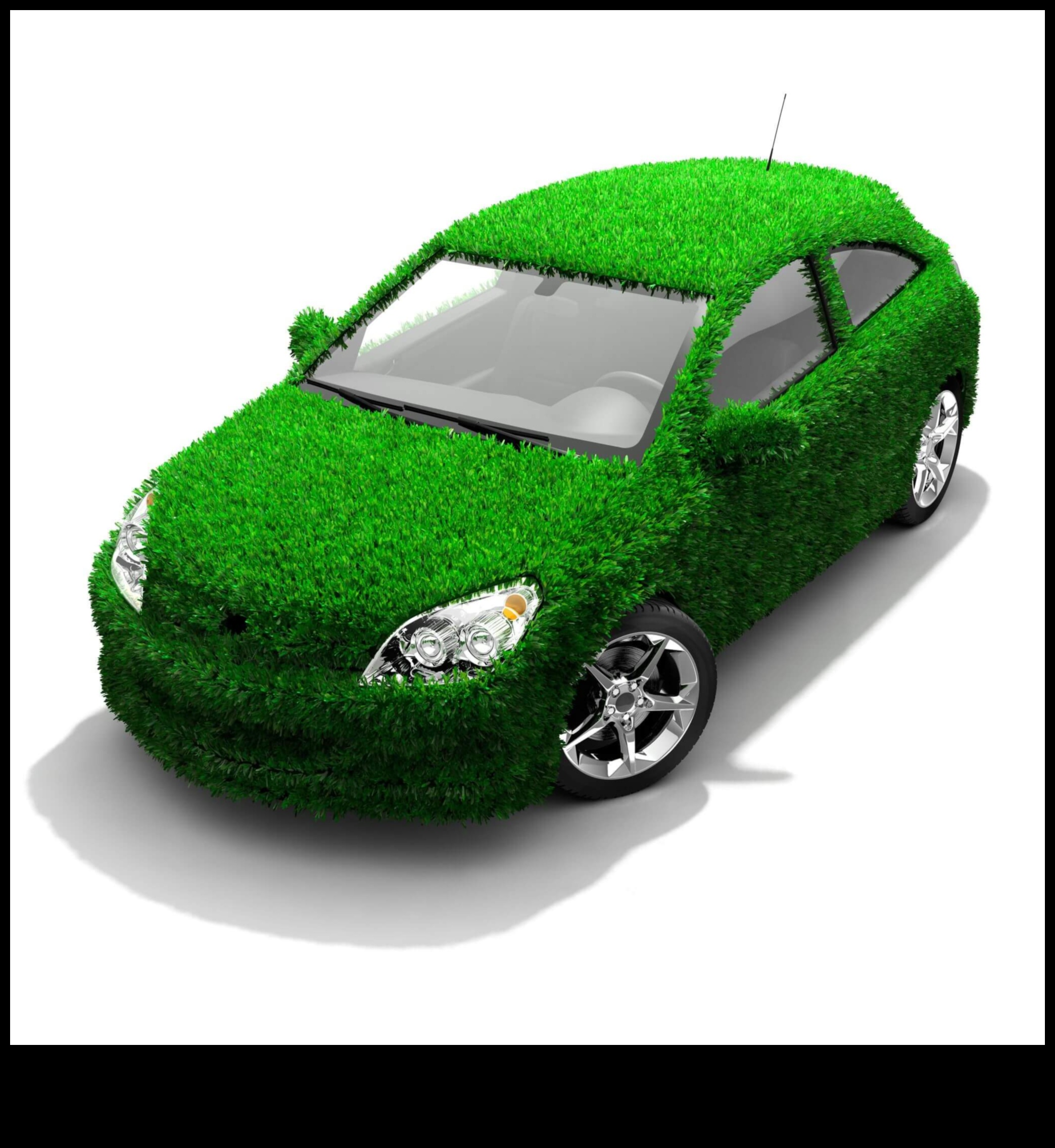 Hybrids for a Cause: Community Initiatives and Philanthropy on the Green Road