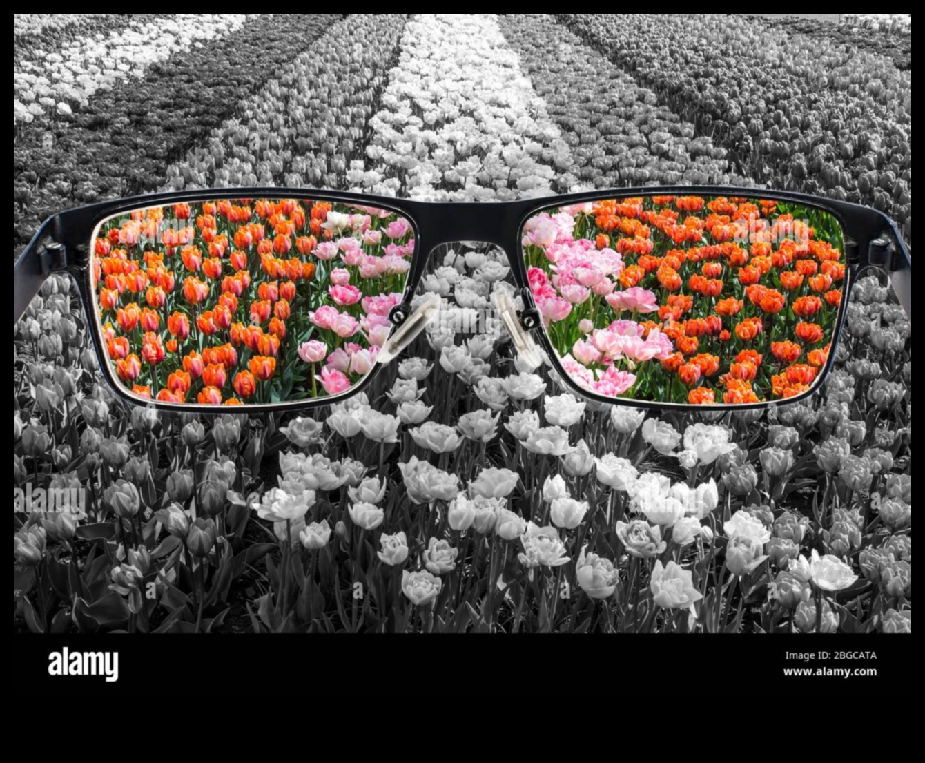 Προοπτικές σχεδίασης Μια ματιά στην τέχνη του Ιστού μέσα από διαφορετικούς φακούς 2 Προοπτικές σχεδίασης: Web Art μέσω διαφορετικών φακών