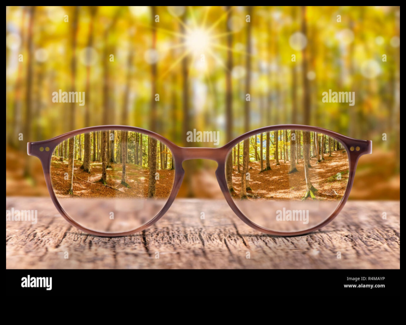 Προοπτικές σχεδίασης Μια ματιά στην τέχνη του Ιστού μέσα από διαφορετικούς φακούς 3 Προοπτικές σχεδίασης: Web Art μέσω διαφορετικών φακών