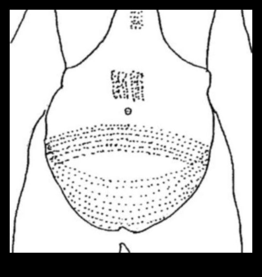 Ink Odyssey: Unveiling the Chronicles of Modern Tattoo Mastery