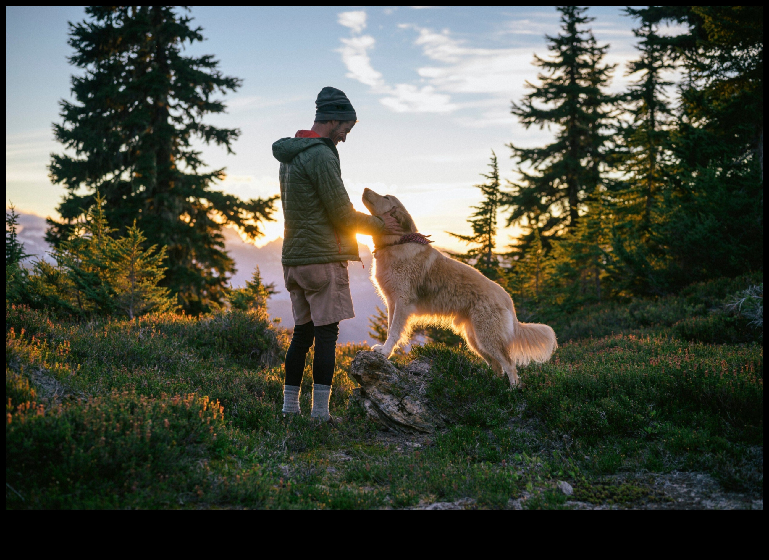 Canine Camping Continued: Expanding Outdoor Exploration