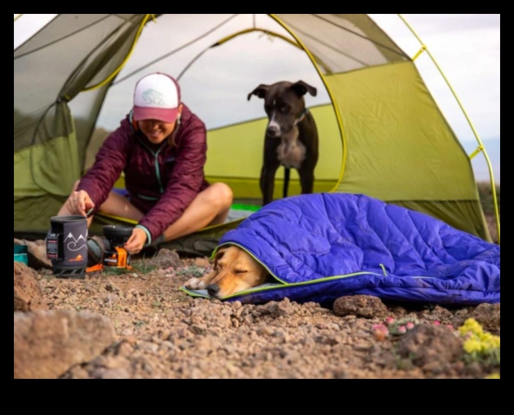 Canine Camping Continued: Expanding Outdoor Exploration