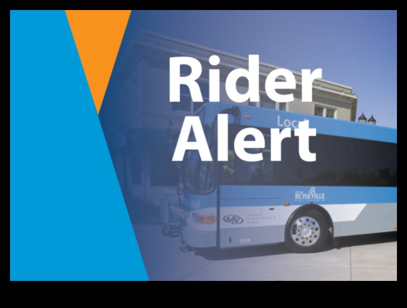 Ιστορίες στάσεων λεωφορείου: Προσωπικές αφηγήσεις από επιβάτες εν κινήσει