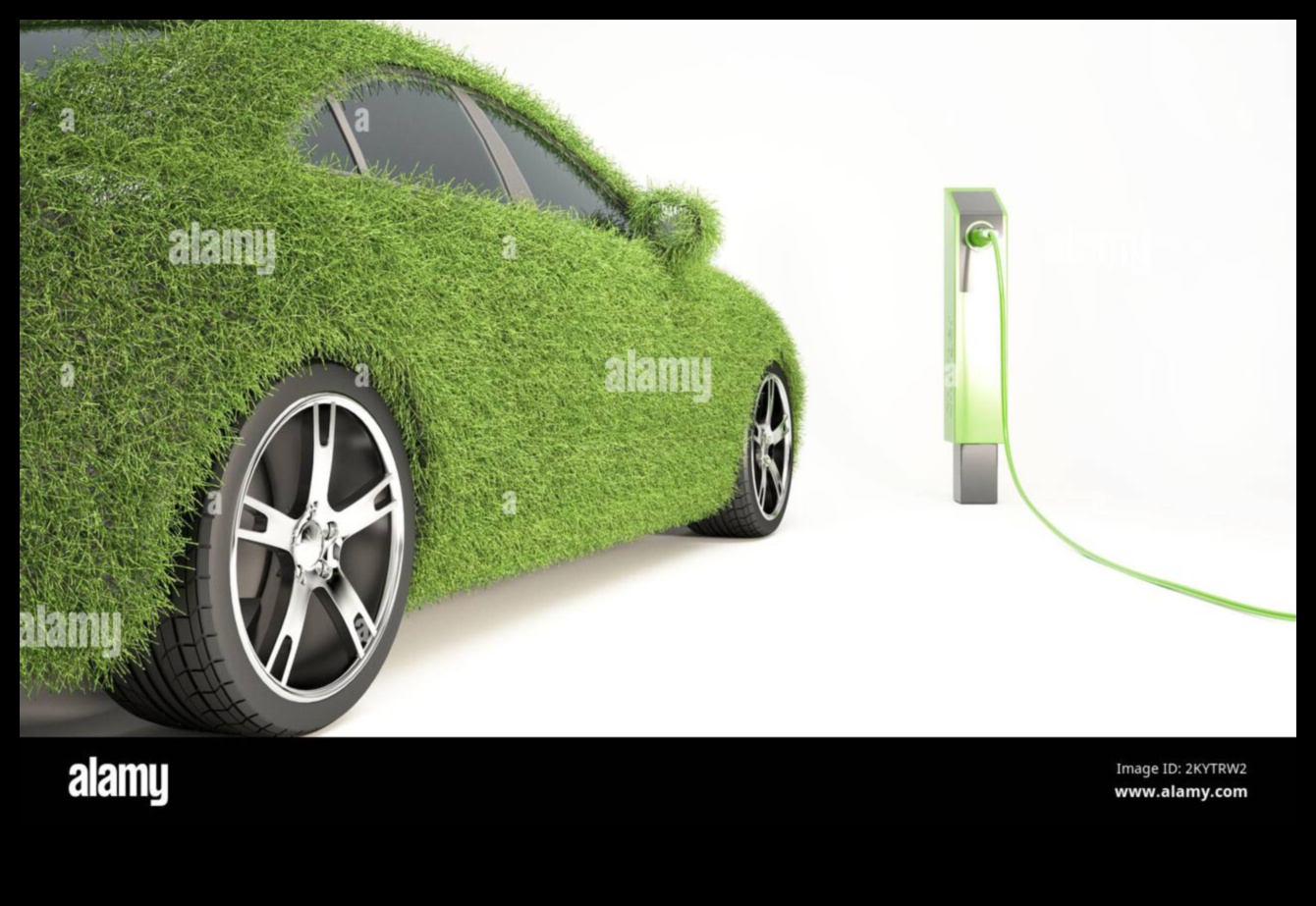 Οδήγηση φιλικών προς το περιβάλλον: Περιπέτειες σε ηλεκτρικά αυτοκίνητα για τη διατήρηση της φύσης