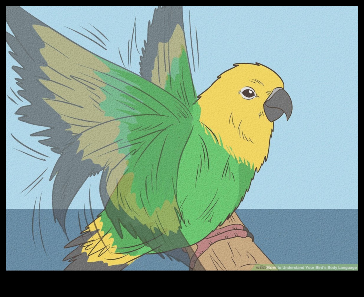 The Language of Birds 2.0: Unlocking New Discoveries in Avian Communication