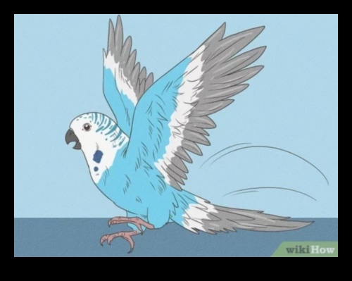 The Language of Birds 2.0: Unlocking New Discoveries in Avian Communication