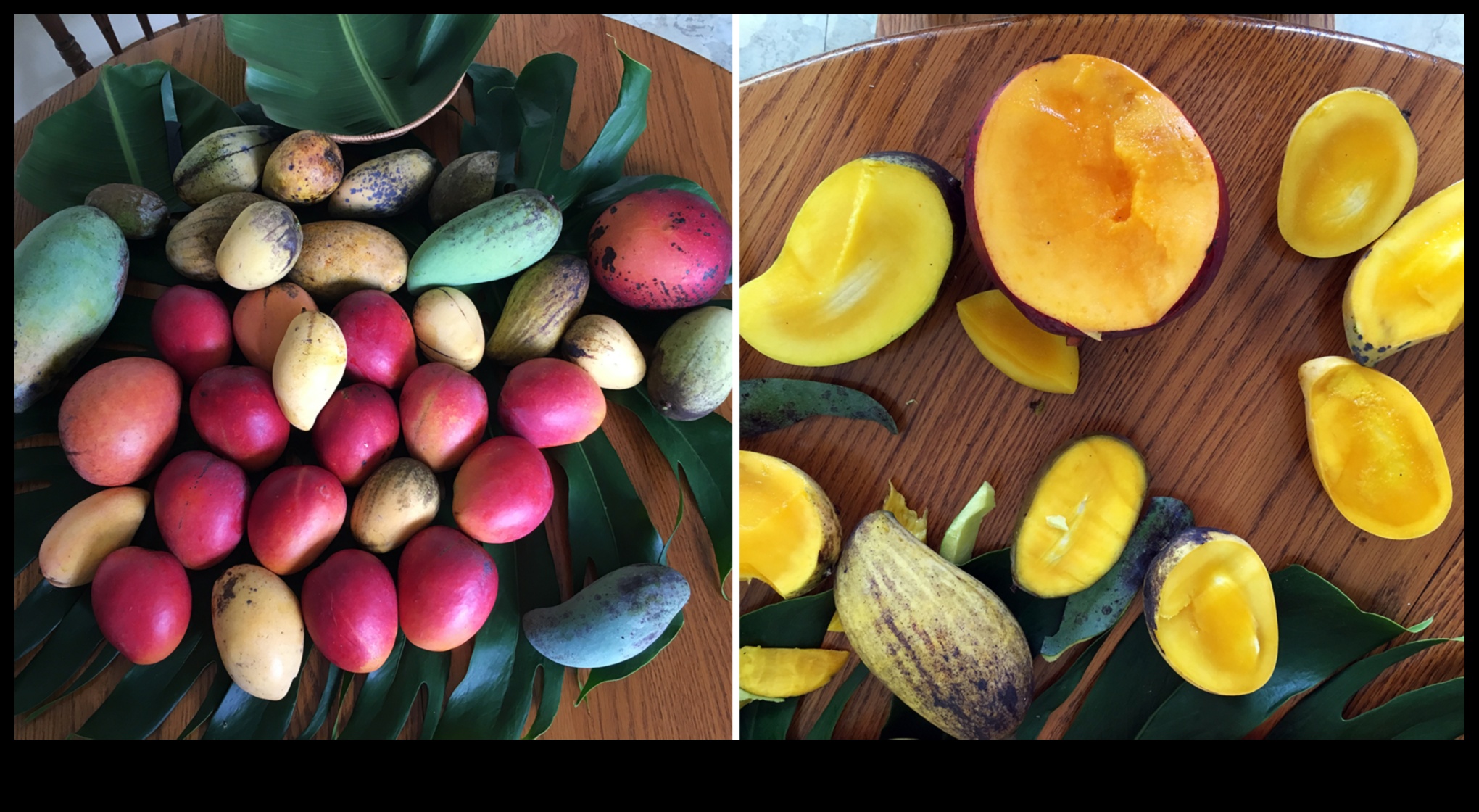 Mango Mania: Τροπικές ασιατικές γεύσεις στο πιάτο σας