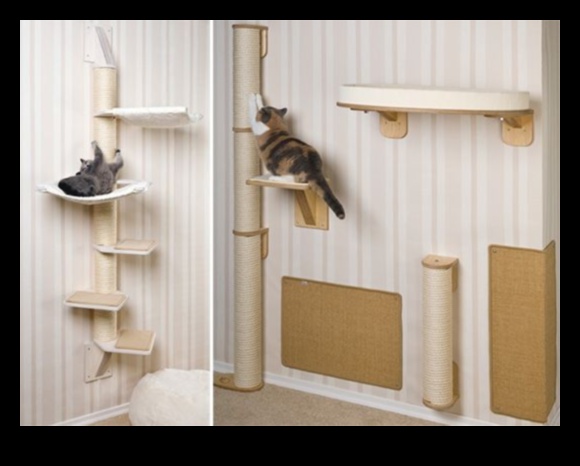 Έπιπλα DIY Cat: Building Scratching Posts and Climbing Structures