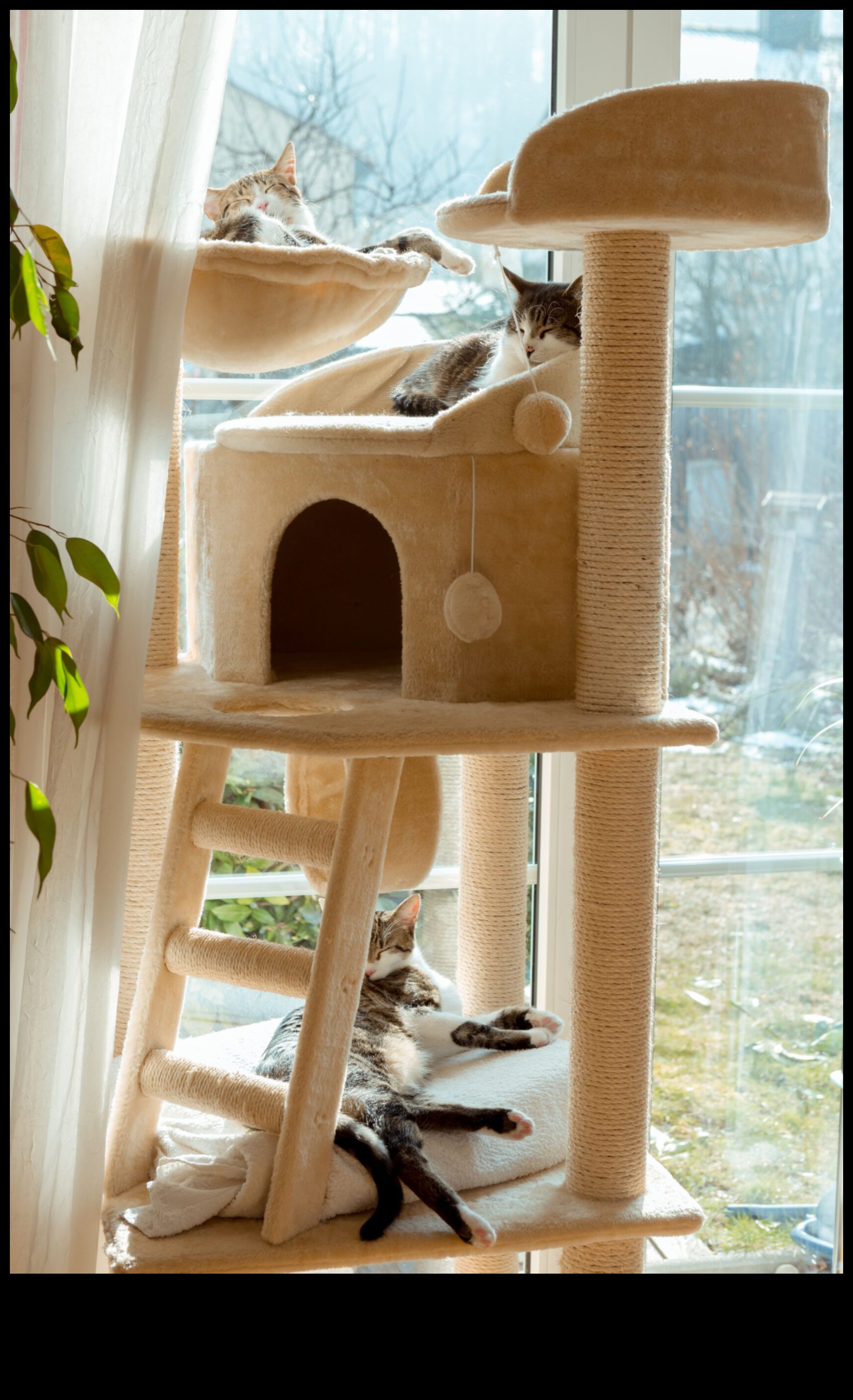 Έπιπλα DIY Cat: Building Scratching Posts and Climbing Structures