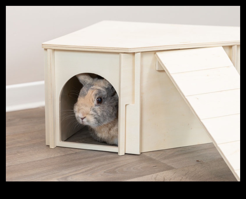 Rodent Runway Continued: Sustaining a Stylish Gardrobe for Small Pets