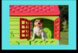 Barkitecture Blueprint: Designing the Perfect Dog-Friendly Space