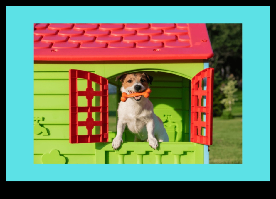 Barkitecture Blueprint: Designing the Perfect Dog-Friendly Space