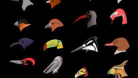 Beakonomics 5.0: Evolutionary Marvels στο Avian Beak Diversity