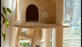 Κατασκευή Cat Condo: Κατασκευές αναρρίχησης για γάτες DIY