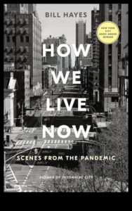 Cityscape Cargo Chronicles: Personal Stories from Urban Commercial Drivers