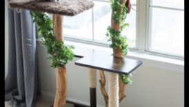 Έπιπλα DIY Cat: Building Scratching Posts and Climbing Structures