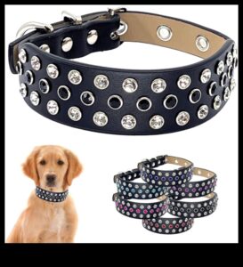 Doggy Decor Dazzle: Αναβαθμίζοντας το στυλ του σκύλου σας με τα πιο πρόσφατα αξεσουάρ