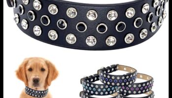 Doggy Decor Dazzle: Αναβαθμίζοντας το στυλ του σκύλου σας με τα πιο πρόσφατα αξεσουάρ
