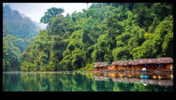 Eco-Friendly Escapes: The Green Revolution in Hybrid Travel