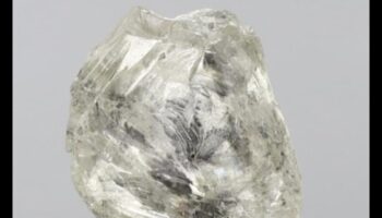 Ethereal Elegance: Elevating Gift-Giving to the Extraordinary