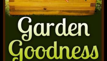 Garden-to-Plate Goodness: Fresh Vegetarian Delights