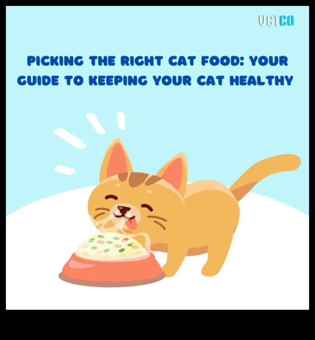 Kitty Kibbles Ένας οδηγός για την επιλογή της σωστής τροφής για γάτες 1 Kitty Kibbles: Ένας οδηγός για την επιλογή της σωστής τροφής για γάτες