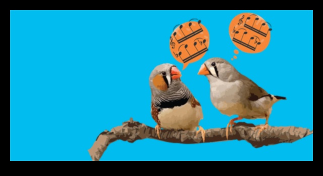 The Language of Birds 2.0: Unlocking New Discoveries in Avian Communication