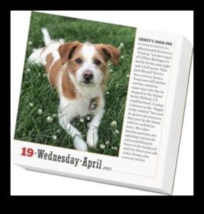 Ημερολόγιο για σκύλους Συνέχεια: Γιορτάζουμε τα σκυλιά κάθε μήνα