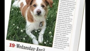 Ημερολόγιο για σκύλους Συνέχεια: Γιορτάζουμε τα σκυλιά κάθε μήνα